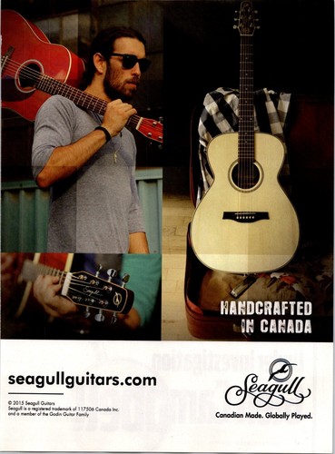 2015 seagull guitars - seagull,
