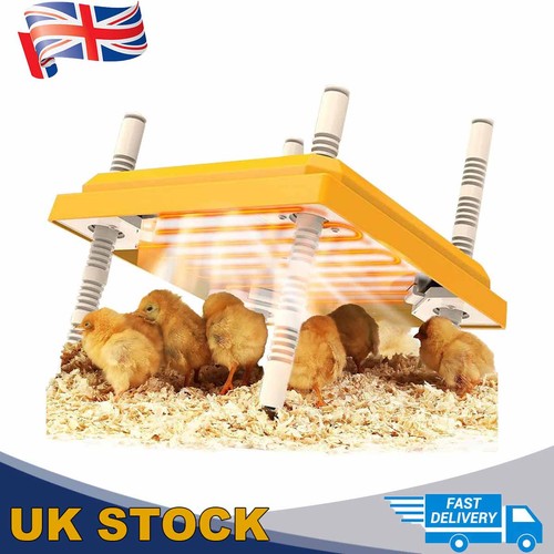 Chick brooder heating - heating, plate