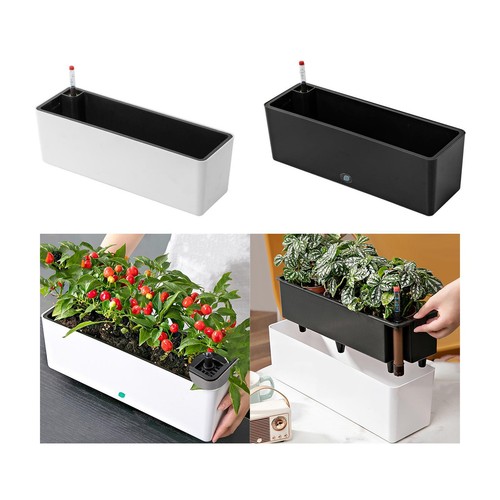 Rectangular self watering - rectangular,
