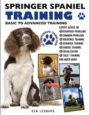 SPRINGER SPANIEL TRAINING