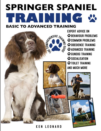 Springer spaniel training - springer,