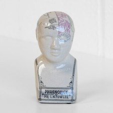 15cm Small Phrenology Head