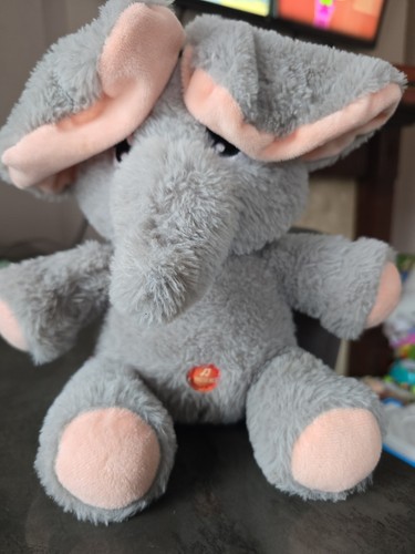 Peek boo elephant with - elephant,