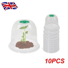 10Pack 19.2cm Garden Cloche
