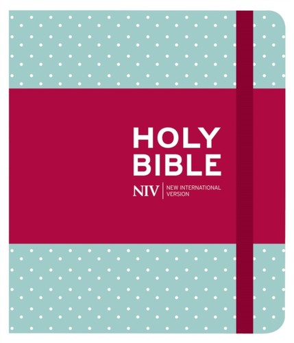 Niv journalling mint polka - journalling,