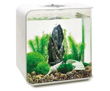 Biorb easy decor set 30l - decor,