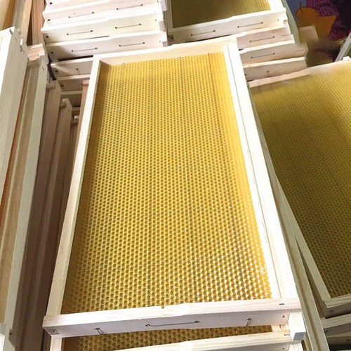 Pack assembled langstroth - 10,