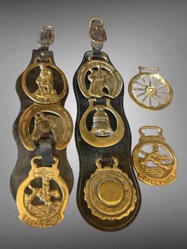 Horse brasses display - horse,
