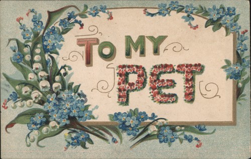 Pet floral greeting with - pet,