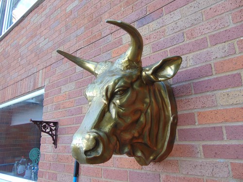 Steel bulls head wall hanging - ,