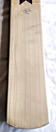 Newbery star cricket bat - gt,