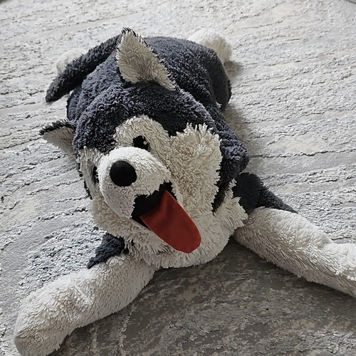 Husky dog plush soft - dog, toy