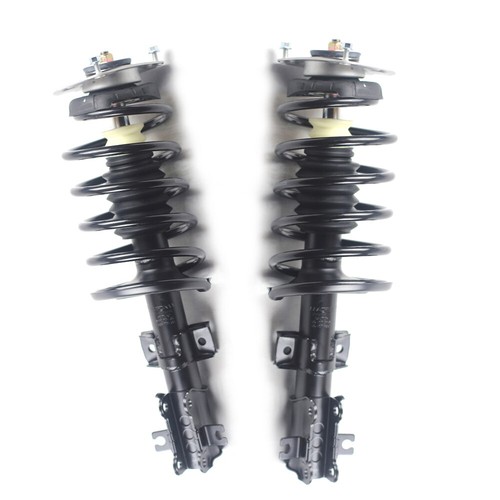 Front complete struts - complete,