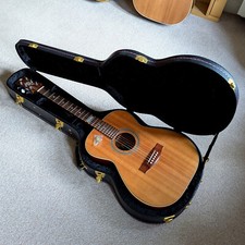 maton EBG808TE with maton case