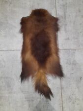 Rare Wolverine Taxidermy antique coaching throw skin hide rug Interior Design 