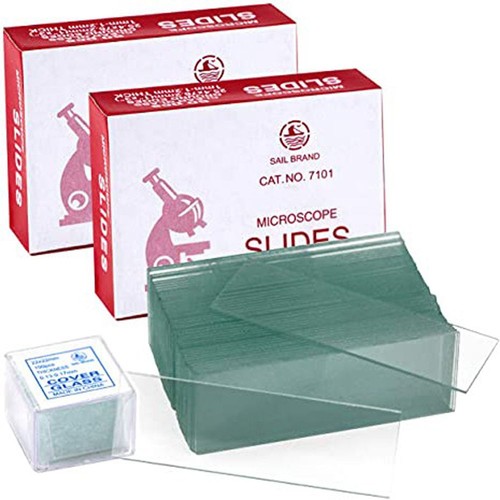 Blank microscope slides - blank,