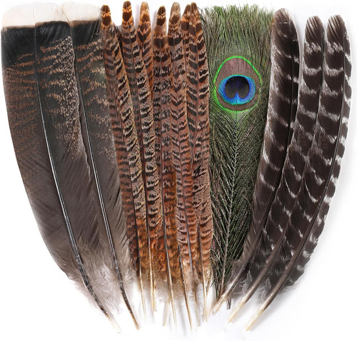 Large pheasant bird craft - large,