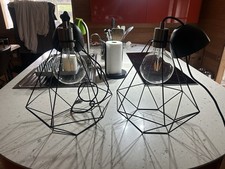 Pair Of Black Wired Light