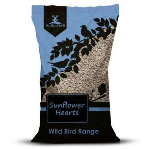 Wild bird sunflower hearts - bird,