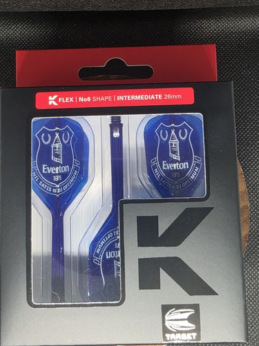 Everton inspired custom dart - everton,