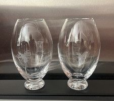 2x Unique, Clear, Rugby Ball Shaped Tumbler Glasses w Etched Wasp for Rugby Fan