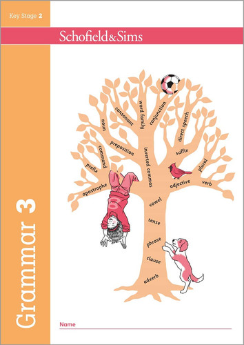 Grammar and punctuation book - grammar,