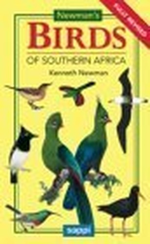 Newman birds southern - of,