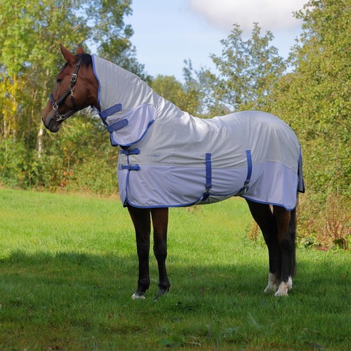 Shires tempest original summer - shires,
