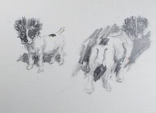 Original Pencil Sketch, Michael Lyne (1912-1989), 'Study of a Terrier',  1970's