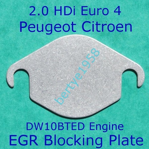 Egr valve blank plate - egr,