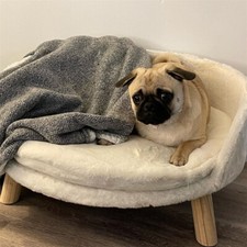 Elevated Pet Sofa Dog Couch