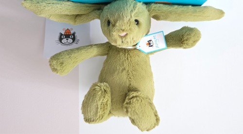 Jellycat bashful moss - 🐰jellycat,