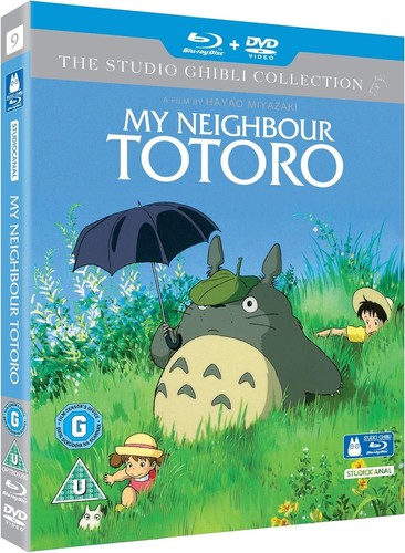 Neighbour totoro studio - my,