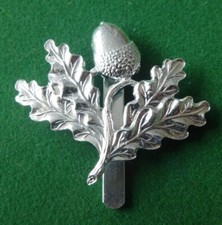 British Army Staybrite Cap Badge - South Nottinghamshire Hussars SNH