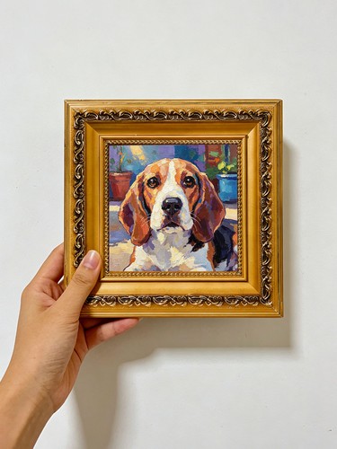 Beagle dog portrait - dog, wall