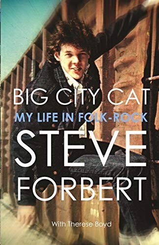 Big city cat life - my, in