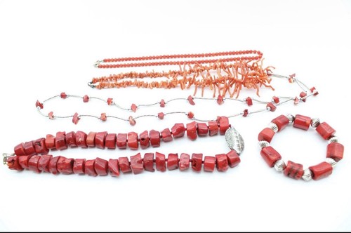 Coral jewellery branch - coral,