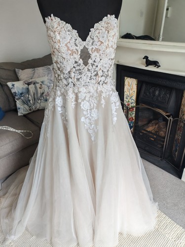 Beautiful detailed champagne - detailed,