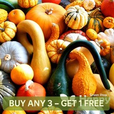 MIX OF GOURDS - 25 SEEDS -