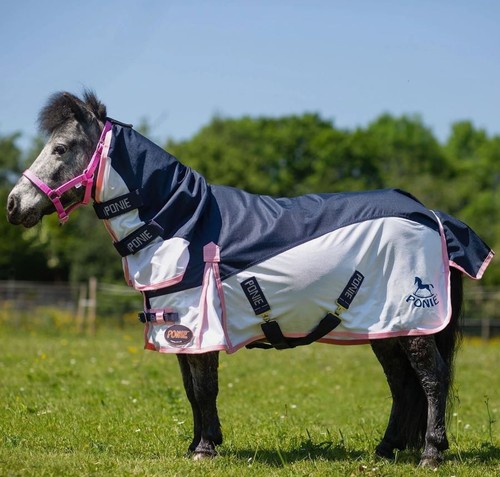 Gallop ponie hybrid trojan - gallop,