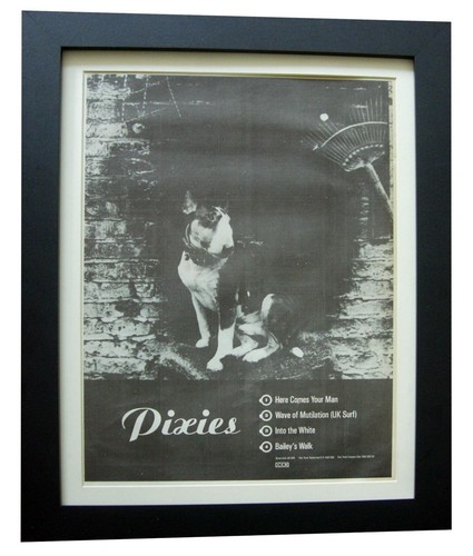 Pixies here comes - pixies+here, your
