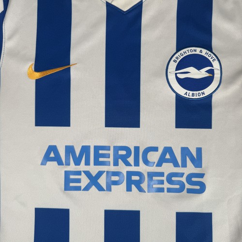 Brighton hove albion - brighton,