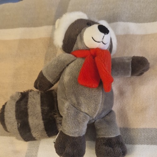 Kinder plush raccoon soft - raccoon, toy