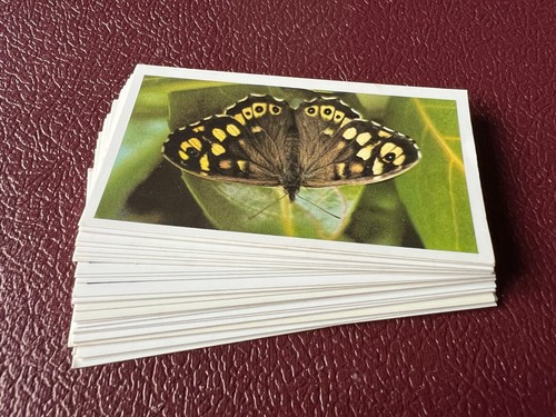 Grandee cigarette cards - grandee,