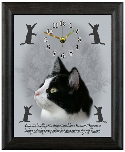 Black and white cat - , gift