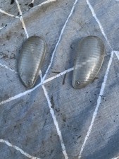 Piaggio Typhoon 50 - 125 - Clear Left and Right Indicator Lenses