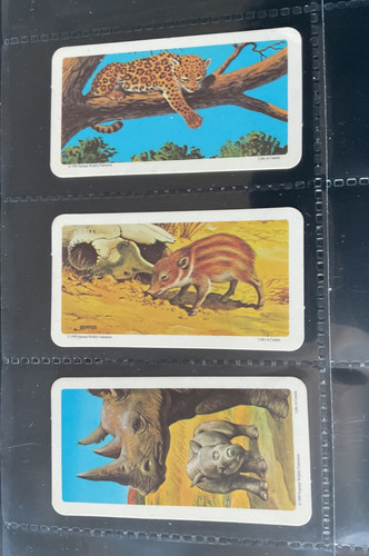 Brooke bond canada liptons - bond,
