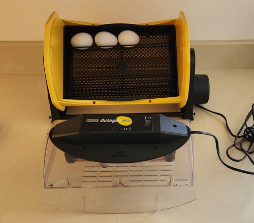 Brinsea octagon eco - eco, 20-egg