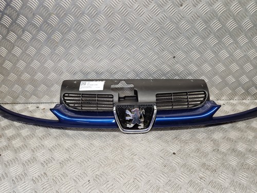 Peugeot 206 front - grill, paint