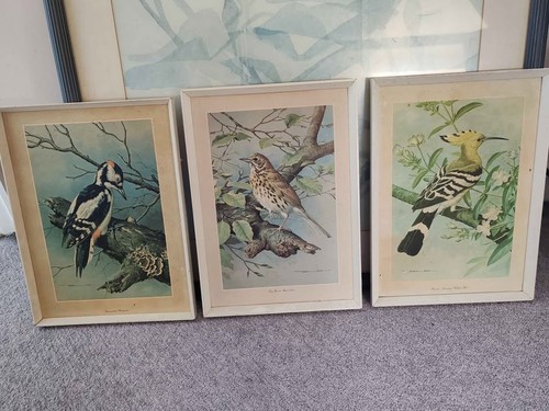 Basil ede set 3 vintage - 3,